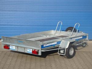 Type 1